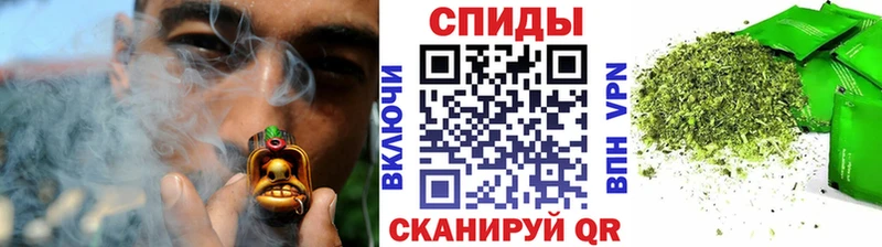 гидра ТОР  Пущино  это клад  Бутират 99% 