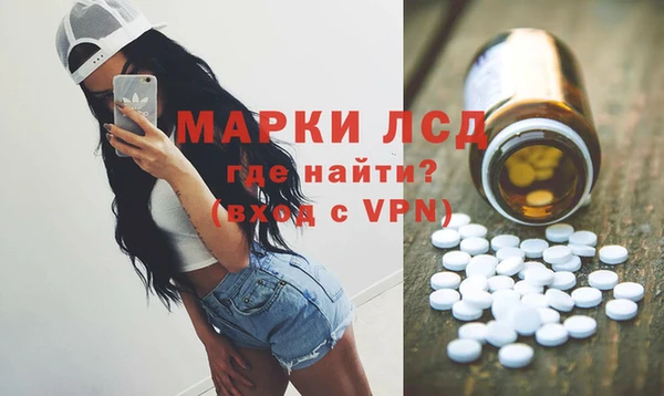 индика Осинники
