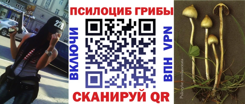 Псилоцибиновые грибы Magic Shrooms  купить наркоту  Пущино 